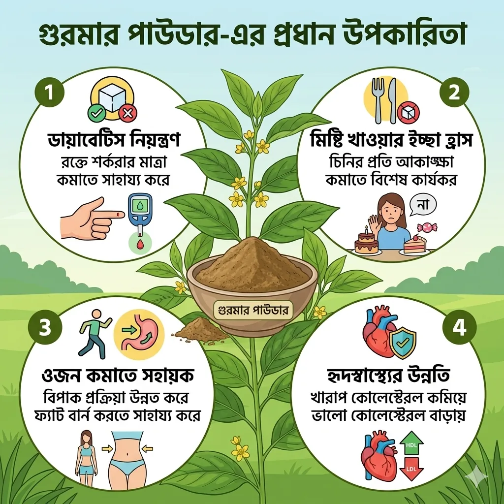 Gurmar Powder / রুট প্রিমিয়াম গুরমার পাউডার (১০০ গ্রাম)