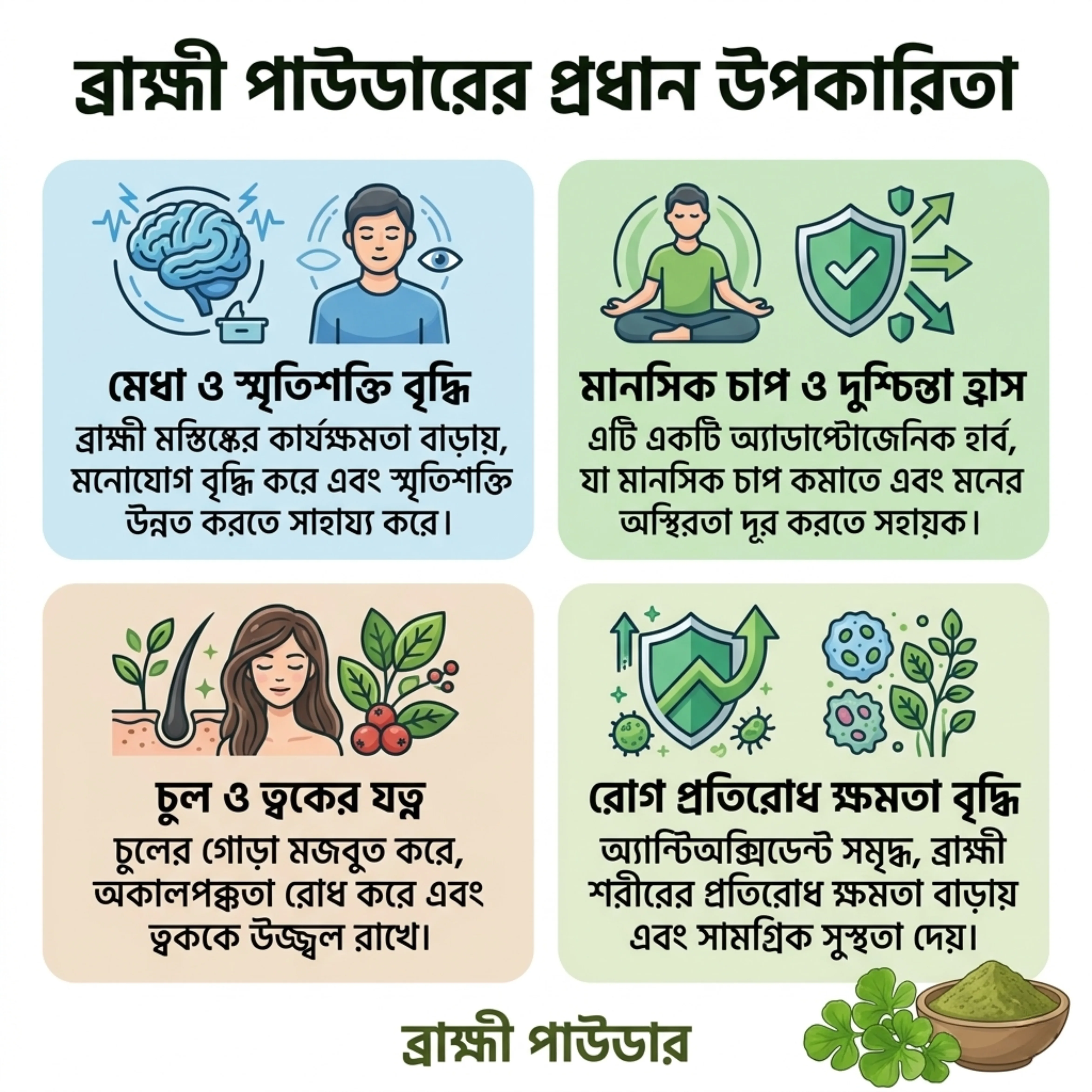 Brahmi Powder / রুট প্রিমিয়াম ব্রাহ্মী পাউডার (১০০ গ্রাম )