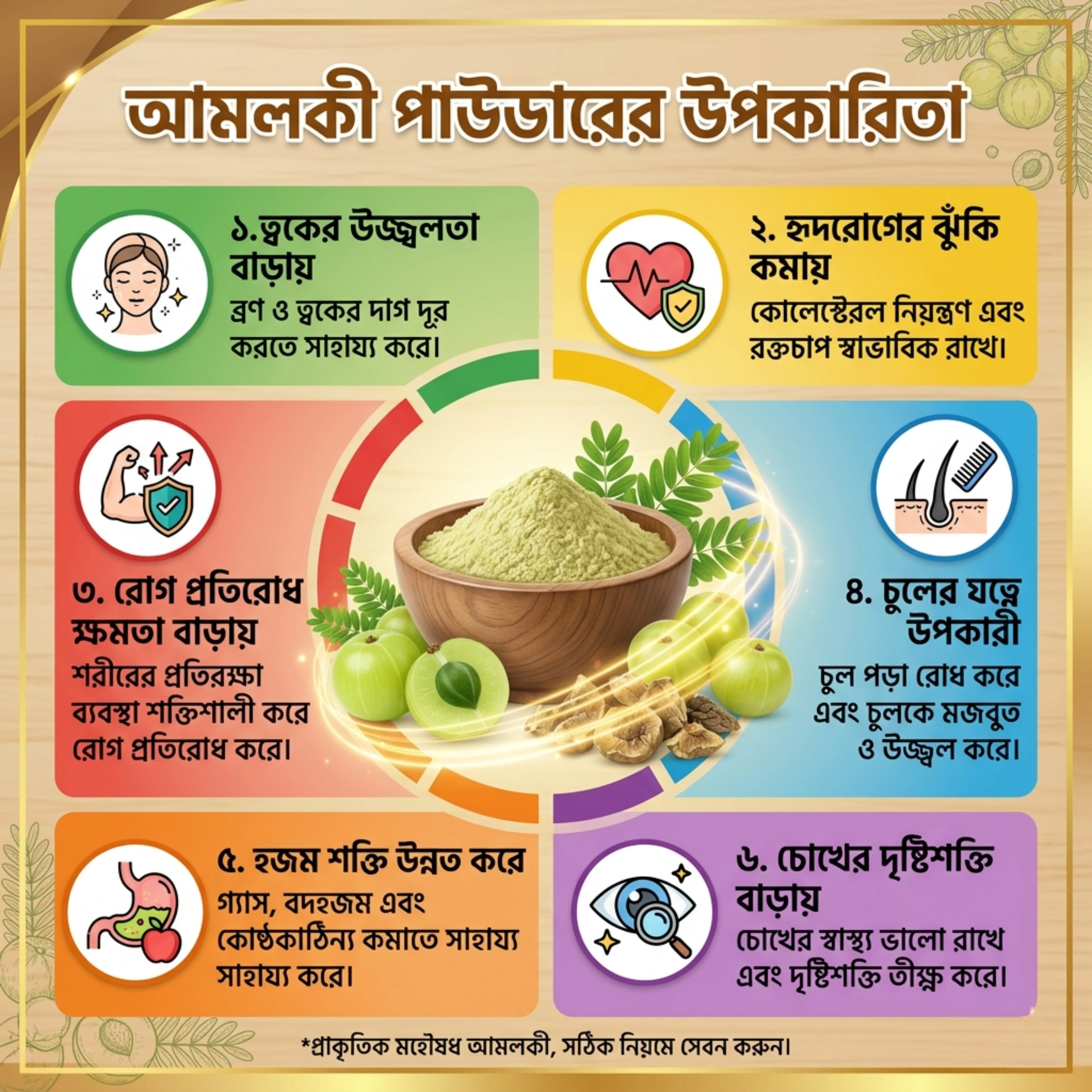আমলকী পাউডার ( ১০০গ্রাম) /Amloki Powder (100gm)