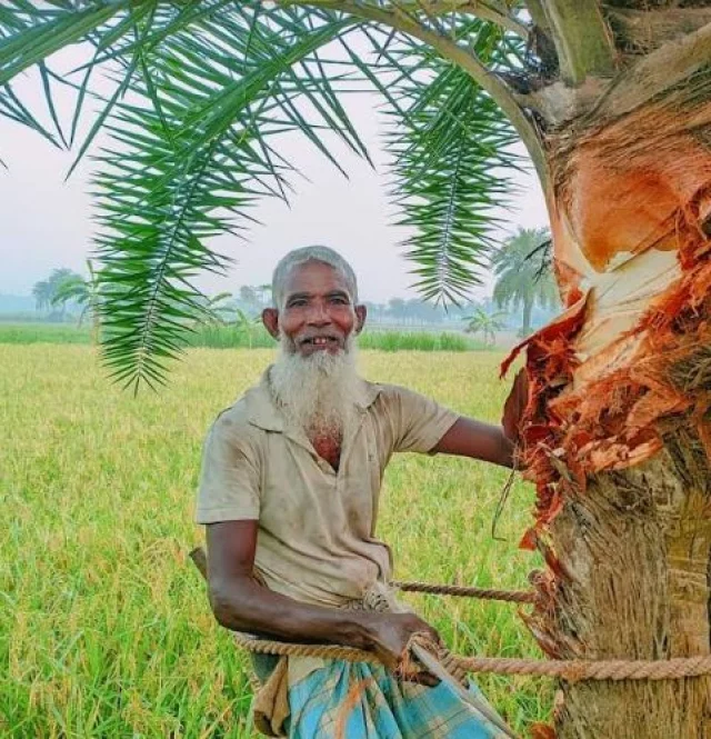খেজুর গুড়-Date Jaggery